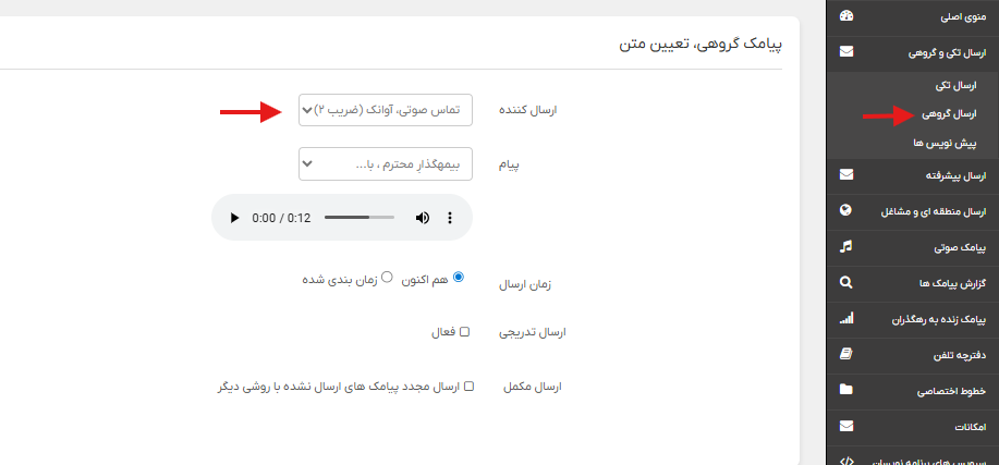 ارسال گروهی